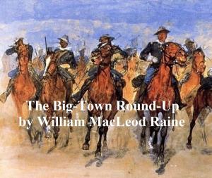 Cover of the book The Big-Town Round-Up by Arthur Rimbaud