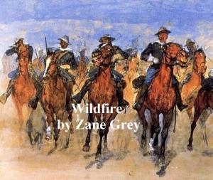 Cover of the book Wildfire by Grace Richmond