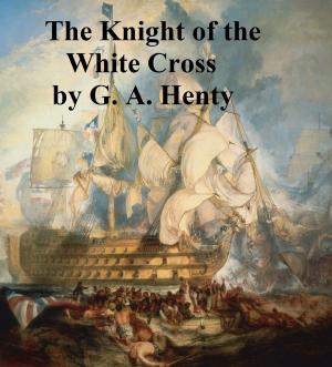 Cover of the book The Knight of the White Cross by William MacLeod Raine