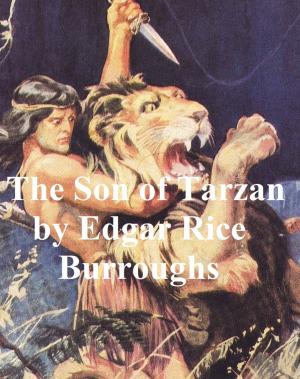 Book cover of The Son of Tarzan, Fourth Novel of the Tarzan Series
