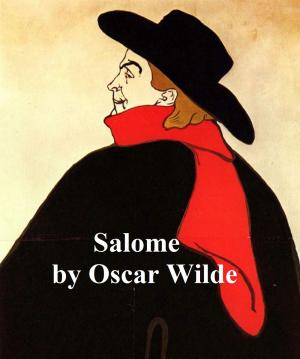Cover of the book Salome, a short biblical play, in the original French by Wendy Fraser