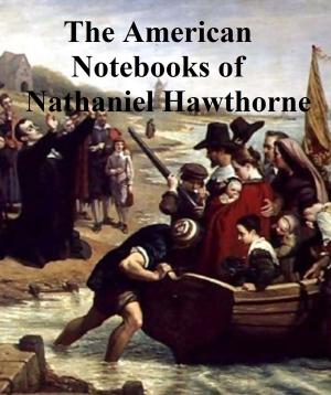 Cover of the book Passages from the American Notebooks of Nathaniel Hawthorne by Louisa May Alcott