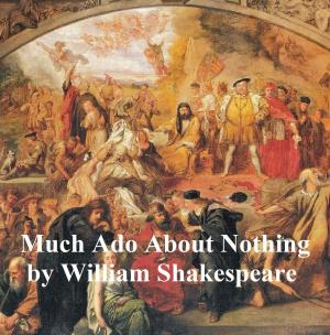 Cover of the book Much Ado About Nothing, with line numbers by Rose Hawthorne Lathrop