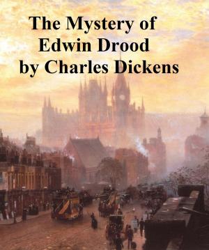 Cover of the book The Mystery of Edwin Drood by Anne M Angell