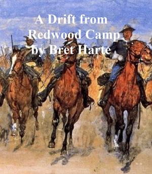 Cover of the book A Drift from Redwood Camp, a short story by Estelle M. Hurll