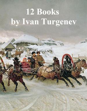 Cover of Ivan Turgenev: 12 books