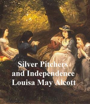 Cover of the book Silver Slippers and Independence, a Centenniel Love Story by John Lord