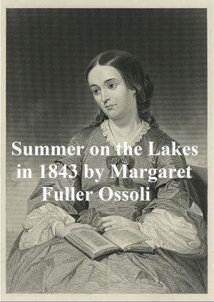 Book cover of Summer on the Lakes in 1843