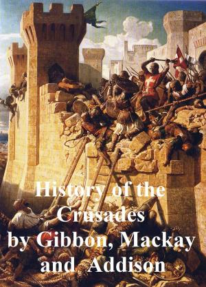Cover of the book The History of the Crusades by Hamlin Garland
