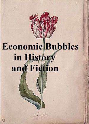 Book cover of Economic Bubbles in History and Fiction