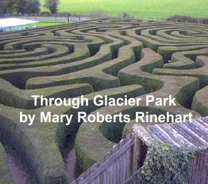 Book cover of Through Glacier Park