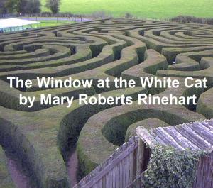 Book cover of The Window at the White Cat