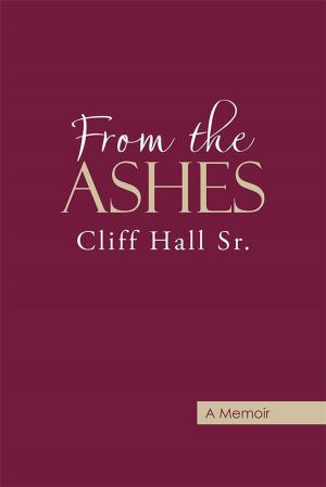 Cover of the book From the Ashes by Geoff Pridham