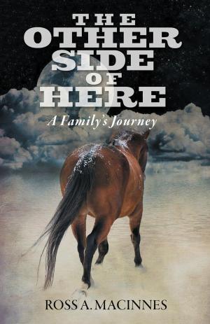 Book cover of The Other Side of Here