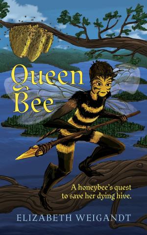 Cover of the book Queen Bee by Mohamed Osmaan