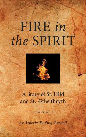 Cover of the book Fire in the Spirit by Randi M. Sherman