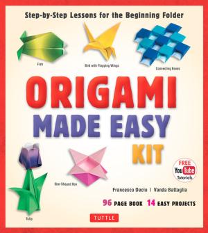 Cover of the book Origami Made Easy Ebook by Armando Martins Janeira