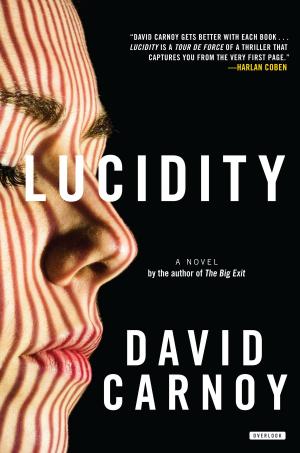 Book cover of Lucidity