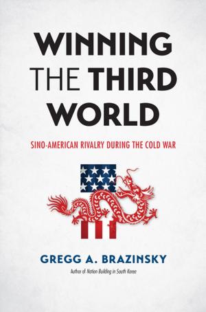 Book cover of Winning the Third World