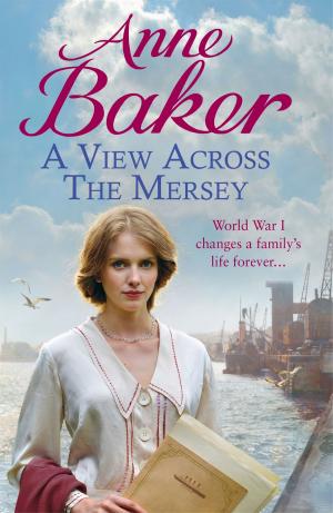 Cover of the book A View Across the Mersey by Anne Baker