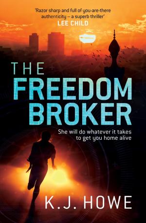 Cover of the book The Freedom Broker by Adele Parks