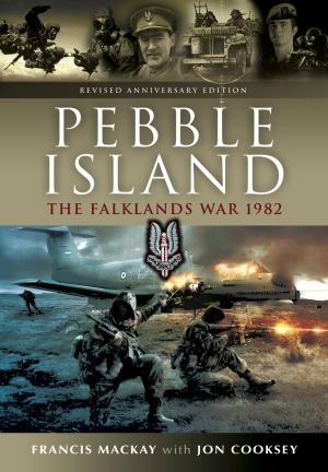 Cover of the book Pebble Island by Robert Peatling