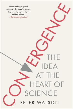 Cover of the book Convergence by John Gierach