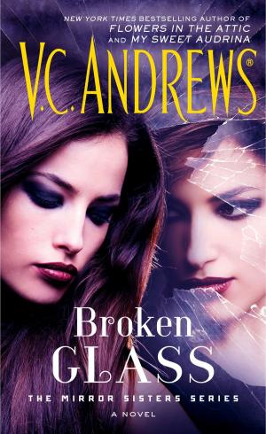 bigCover of the book Broken Glass by 