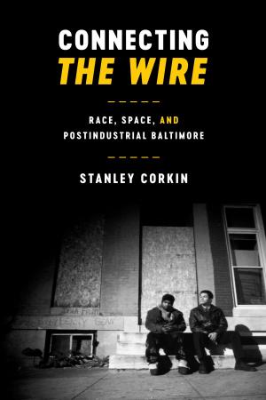 Cover of the book Connecting The Wire by Karen Ballentine