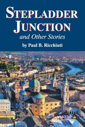 Cover of the book Stepladder Junction and Other Stories by Marinela Achim
