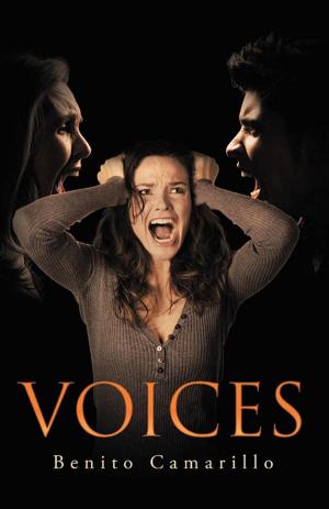 Cover of the book Voices by Jenna Stewart Raines