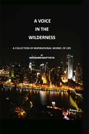Cover of the book A Voice in the Wilderness by David M. Antebi