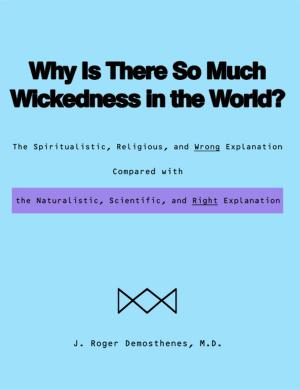 Book cover of Why Is There So Much Wickedness in the World?
