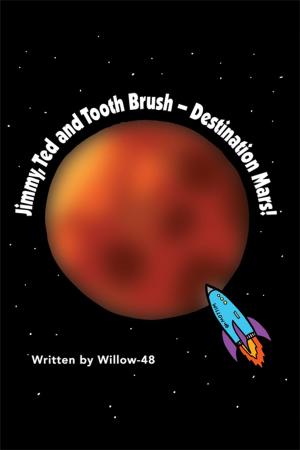 Cover of the book Jimmy, Ted and Toothbrush - Destination Mars! by David M. Antebi