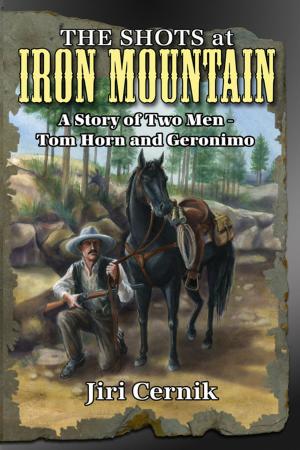 Cover of the book The Shots at Iron Mountain by Marlene Banks