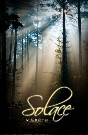 Cover of the book Solace by Joe Berardino