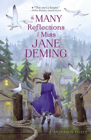 Book cover of The Many Reflections of Miss Jane Deming