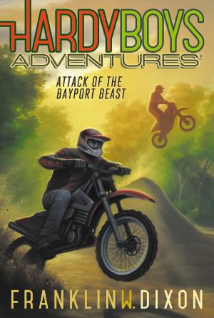 Cover of the book Attack of the Bayport Beast by PJ Tye