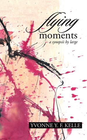 Cover of the book Flying Moments by Charles KW Tan