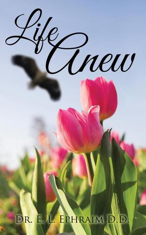 Cover of the book Life Anew by Emily Pardy