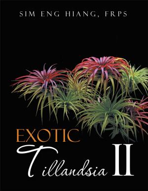 Book cover of Exotic Tillandsia Ii
