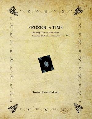 Cover of the book Frozen In Time: An Early Carte De Visite Album from New Bedford, Massachusetts by Felicia Idemudia