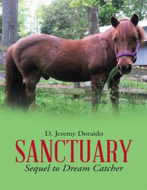 Cover of the book Sanctuary: Sequel to Dream Catcher by Linda K. Welsch
