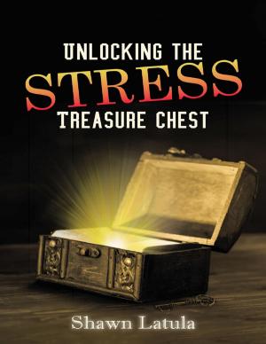 Cover of the book Unlocking the Stress Treasure Chest by Steven Edge