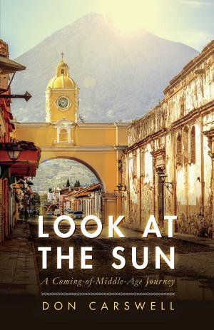 Cover of the book Look at the Sun by Bob Fetherolf