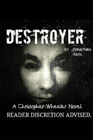 Cover of the book Destroyer by Natalia Salnikova