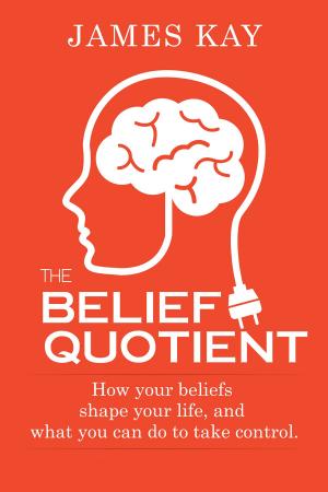 Book cover of The Belief Quotient