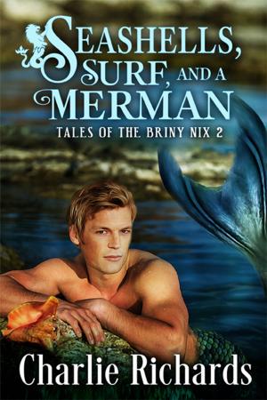 Cover of the book Seashells, Surf, and a Merman by DM Guay