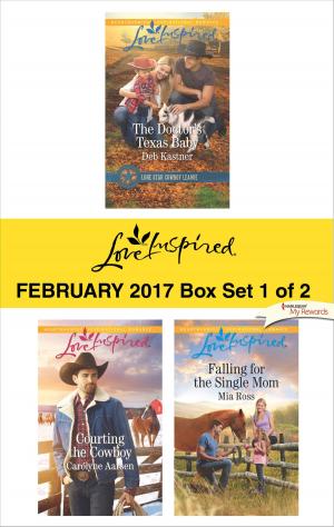 Cover of the book Harlequin Love Inspired February 2017 - Box Set 1 of 2 by Terri Brisbin