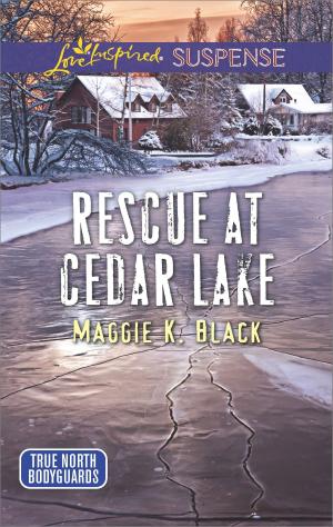 Cover of the book Rescue at Cedar Lake by Susan Sleeman
